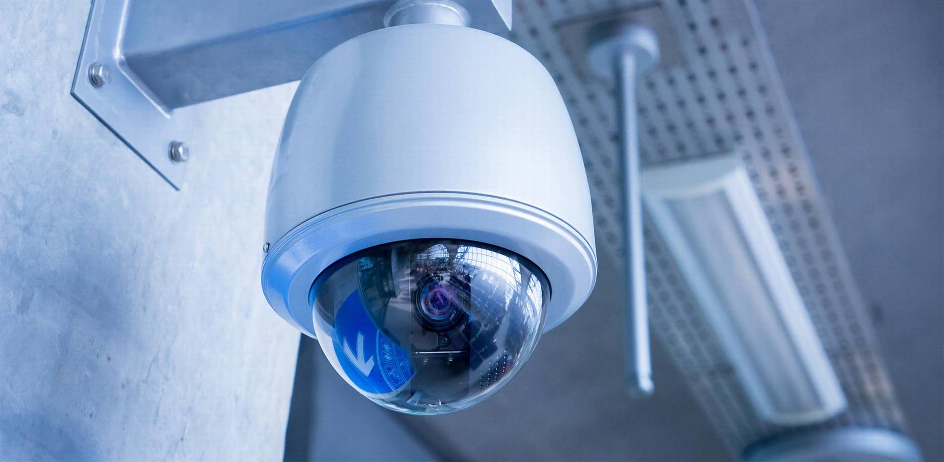 #1 Best Security Camera Company: CAT6 CAT7 CAT8 Network vs Wiring Installer Low Voltage Fiber Optic Jupiter